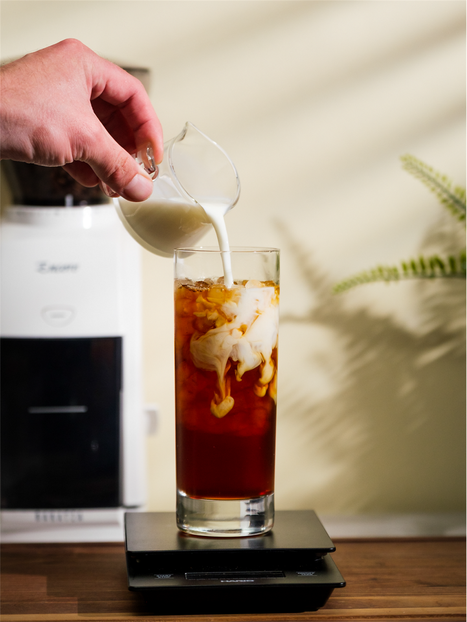 Iced Coffee and Cold Brew